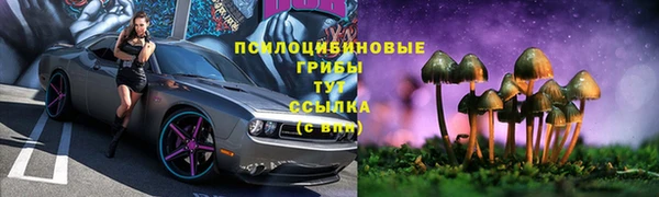 молекула духа Дмитровск