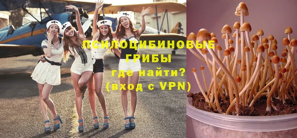 молекула духа Дмитровск