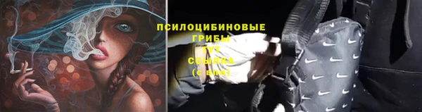 ECSTASY Дмитров
