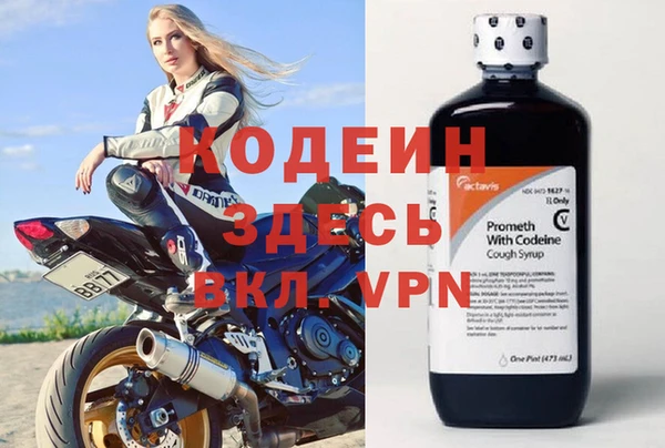 ешки Дмитриев