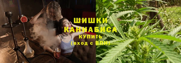 молекула духа Дмитровск