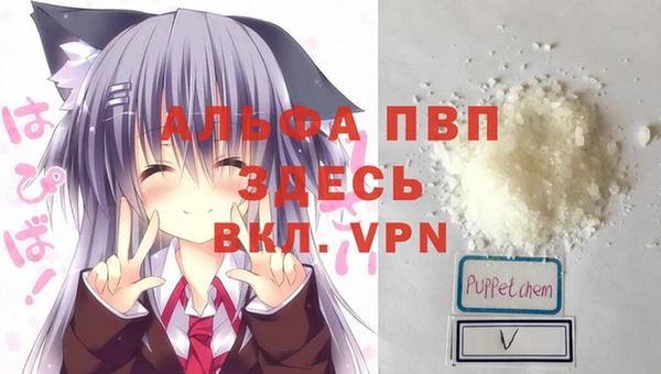 ECSTASY Дмитров