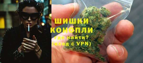 молекула духа Дмитровск