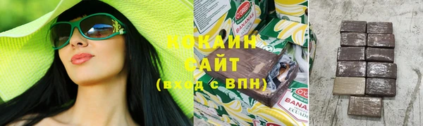 молекула духа Дмитровск