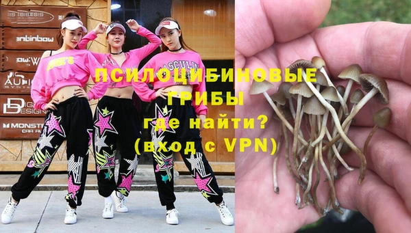 ECSTASY Дмитров